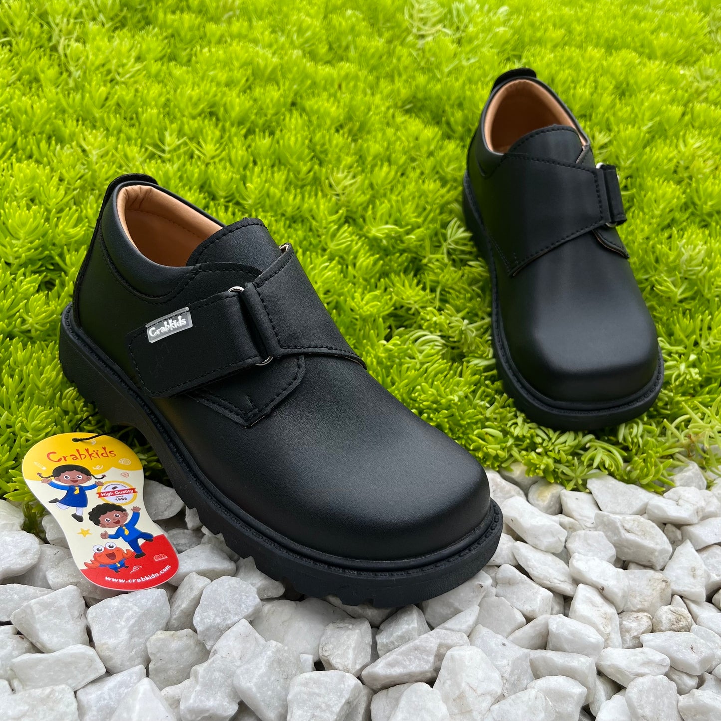 Crabkids Boys Matte School Shoes - 650308