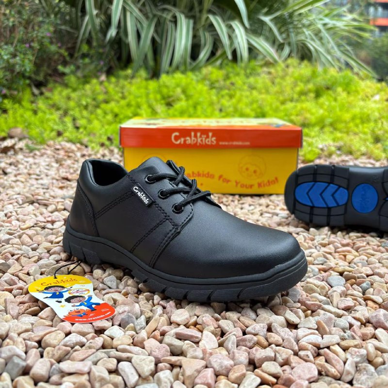 Crabkids Boys Matte School Shoes - 808146