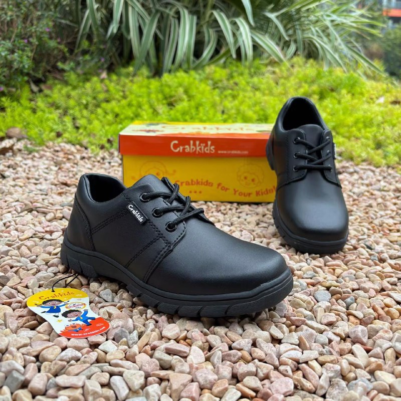 Crabkids Boys Matte School Shoes - 808146