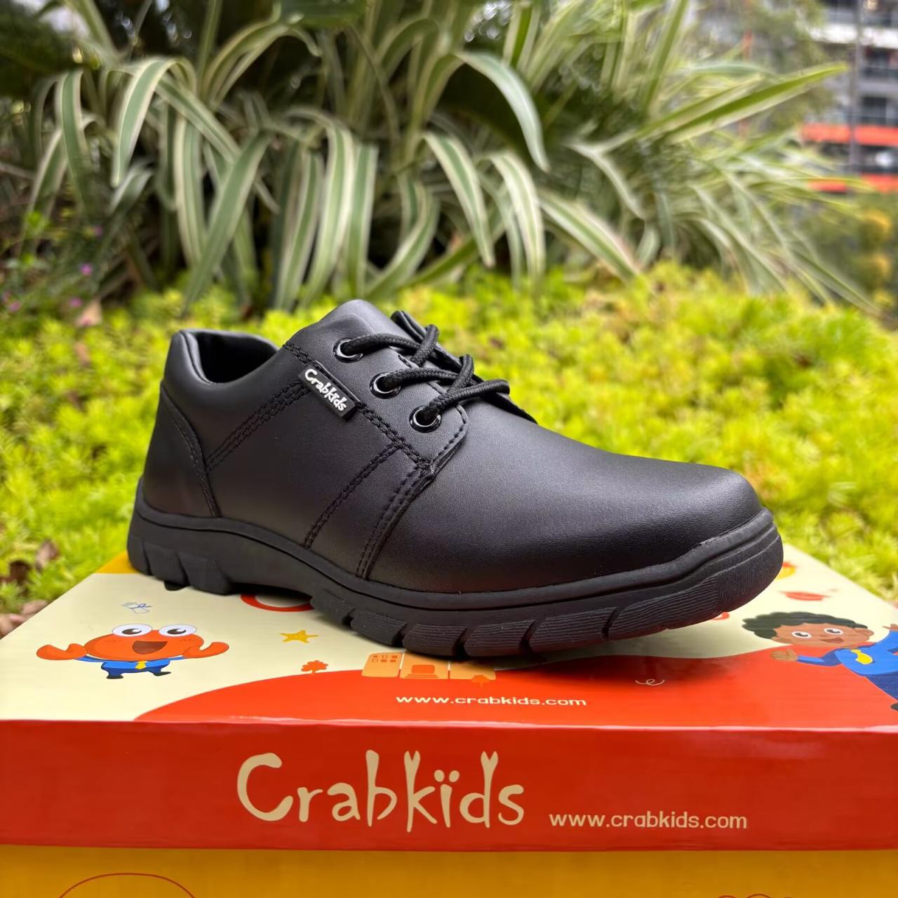 Crabkids Boys Matte School Shoes - 808146
