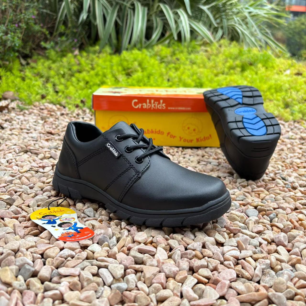 Crabkids Boys Matte School Shoes - 808146