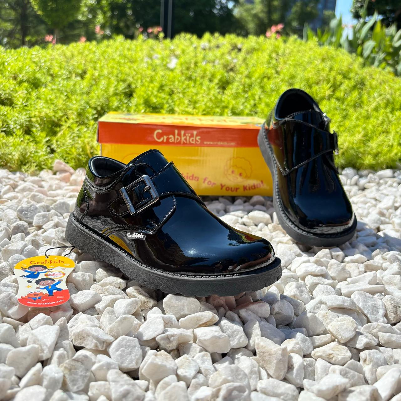 Crabkids Boys Wetlook School Shoes - P617303