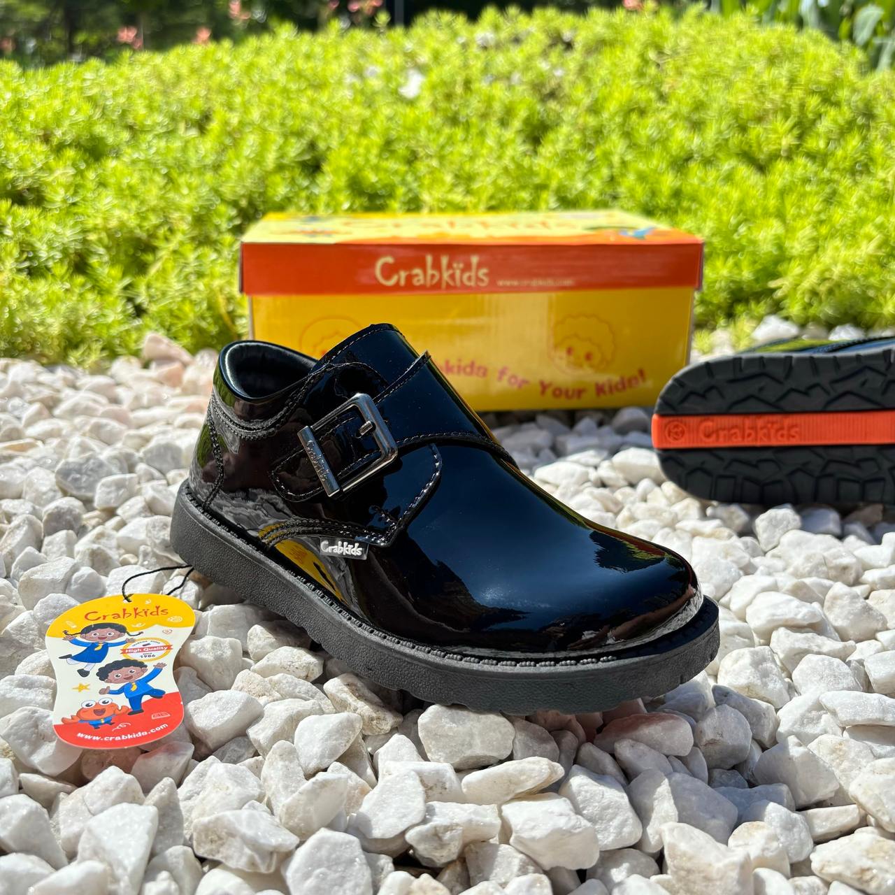 Crabkids Boys Wetlook School Shoes - P617303
