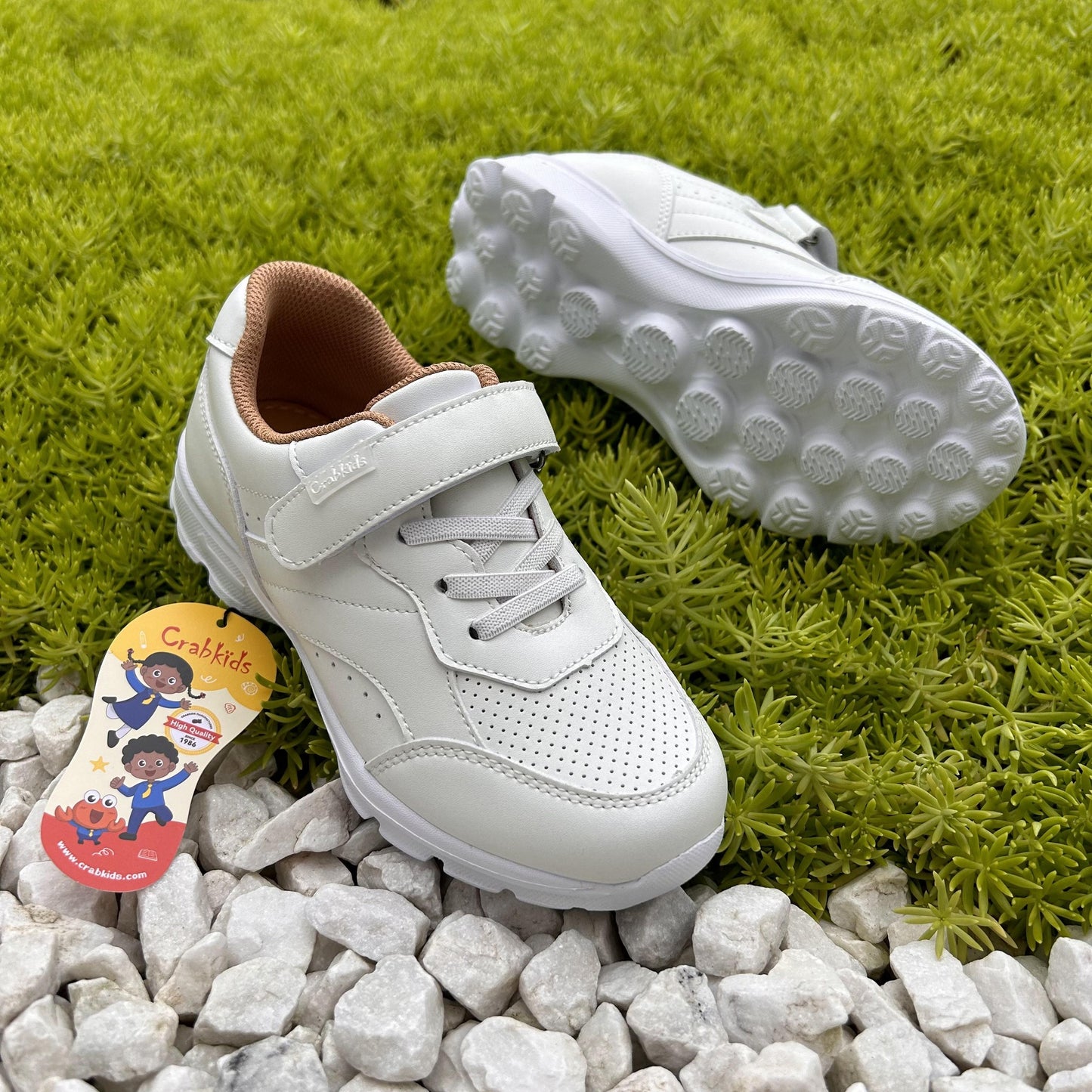 Crabkids Sports Shoes - 819114B