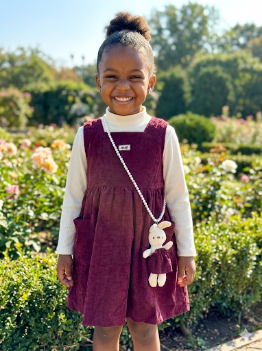 Girls 3-Piece Velvet Dress Set with Long Sleeve Top & Toy Bag