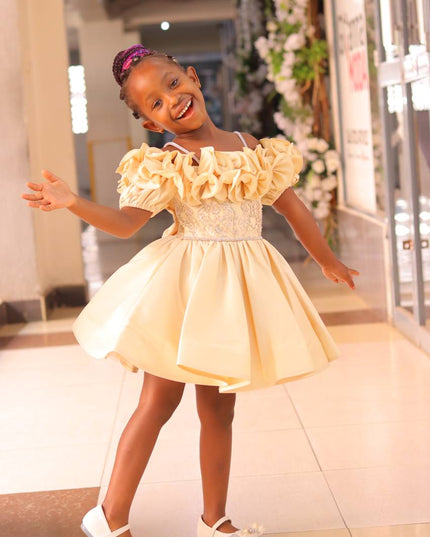 Premium Fancy Princess Dress for Girls