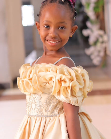 Premium Fancy Princess Dress for Girls