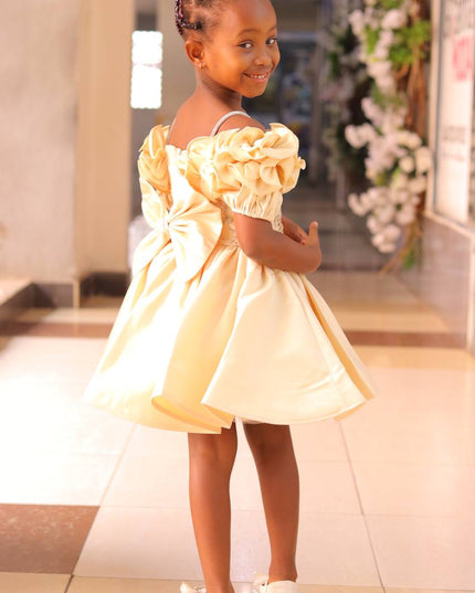 Premium Fancy Princess Dress for Girls