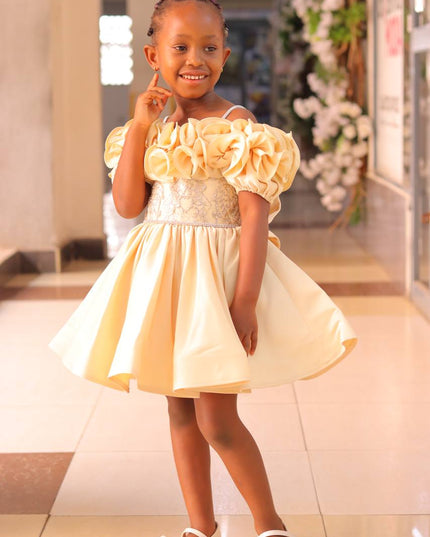 Premium Fancy Princess Dress for Girls