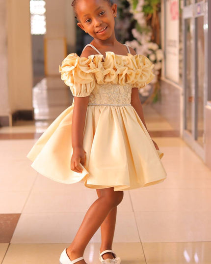 Premium Fancy Princess Dress for Girls