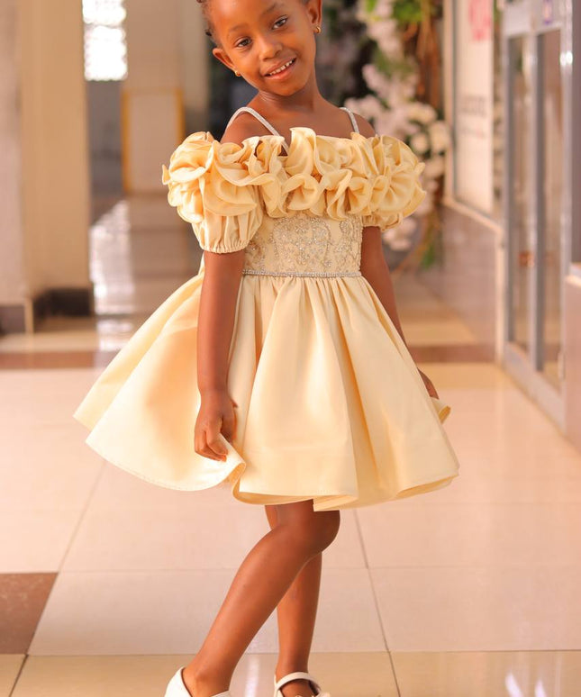 Premium Fancy Princess Dress for Girls