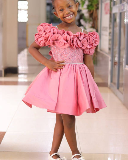 Premium Fancy Princess Dress for Girls