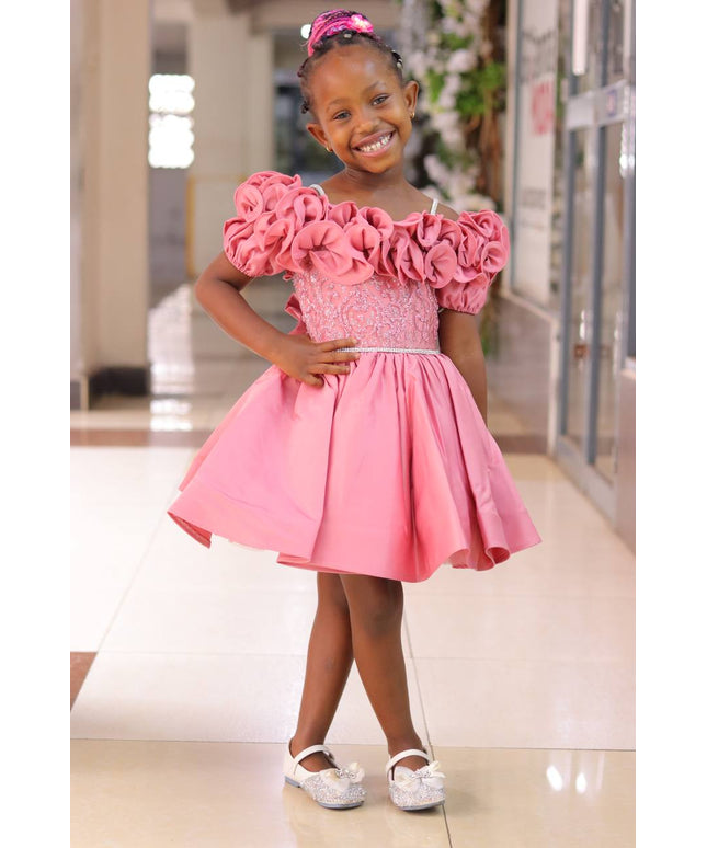 Premium Fancy Princess Dress for Girls